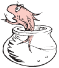 fish fish